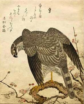 A Bronze Model of a Hawk by Masatsune